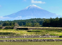 コーディネーターの写真